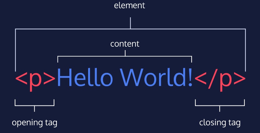 html anatomy